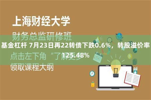 基金杠杆 7月23日再22转债下跌0.6%，转股溢价率125.48%