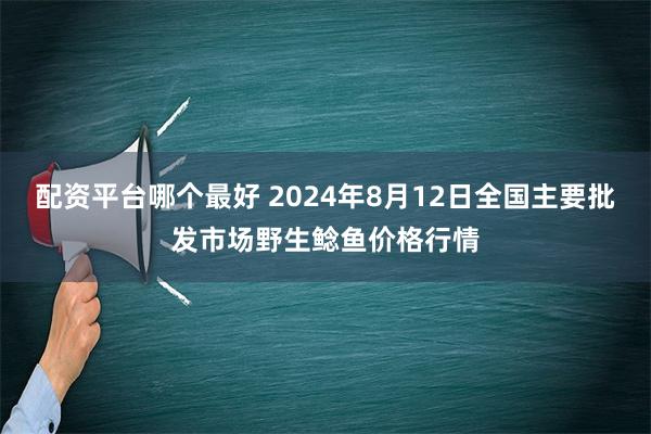 配资平台哪个最好 2024年8月12日全国主要批发市场野生鲶鱼价格行情