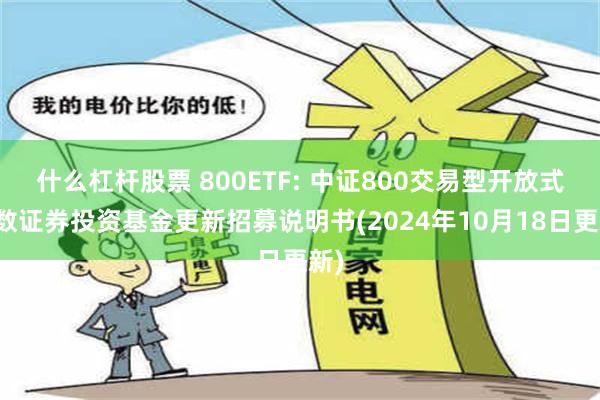 什么杠杆股票 800ETF: 中证800交易型开放式指数证券投资基金更新招募说明书(2024年10月18日更新)