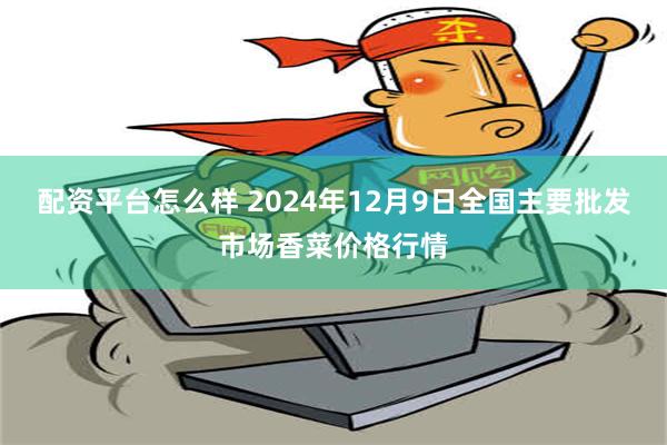 配资平台怎么样 2024年12月9日全国主要批发市场香菜价格行情