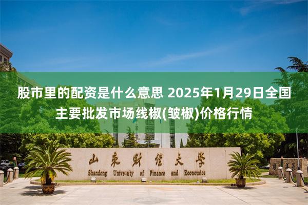 股市里的配资是什么意思 2025年1月29日全国主要批发市场线椒(皱椒)价格行情